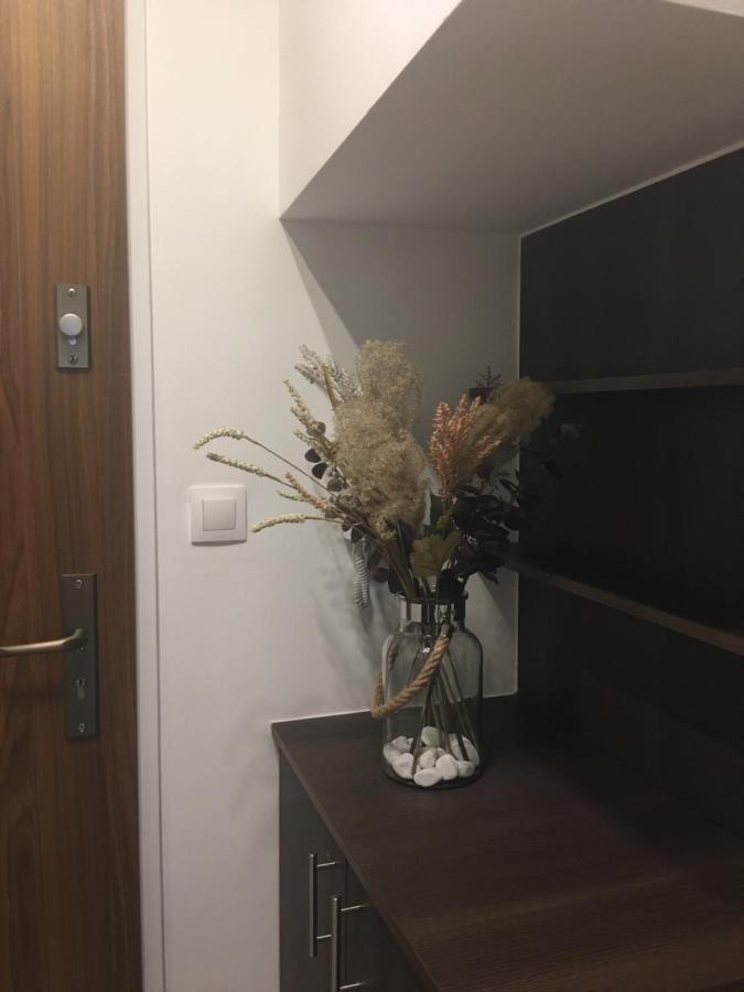 Home Apartment Sopron Luaran gambar